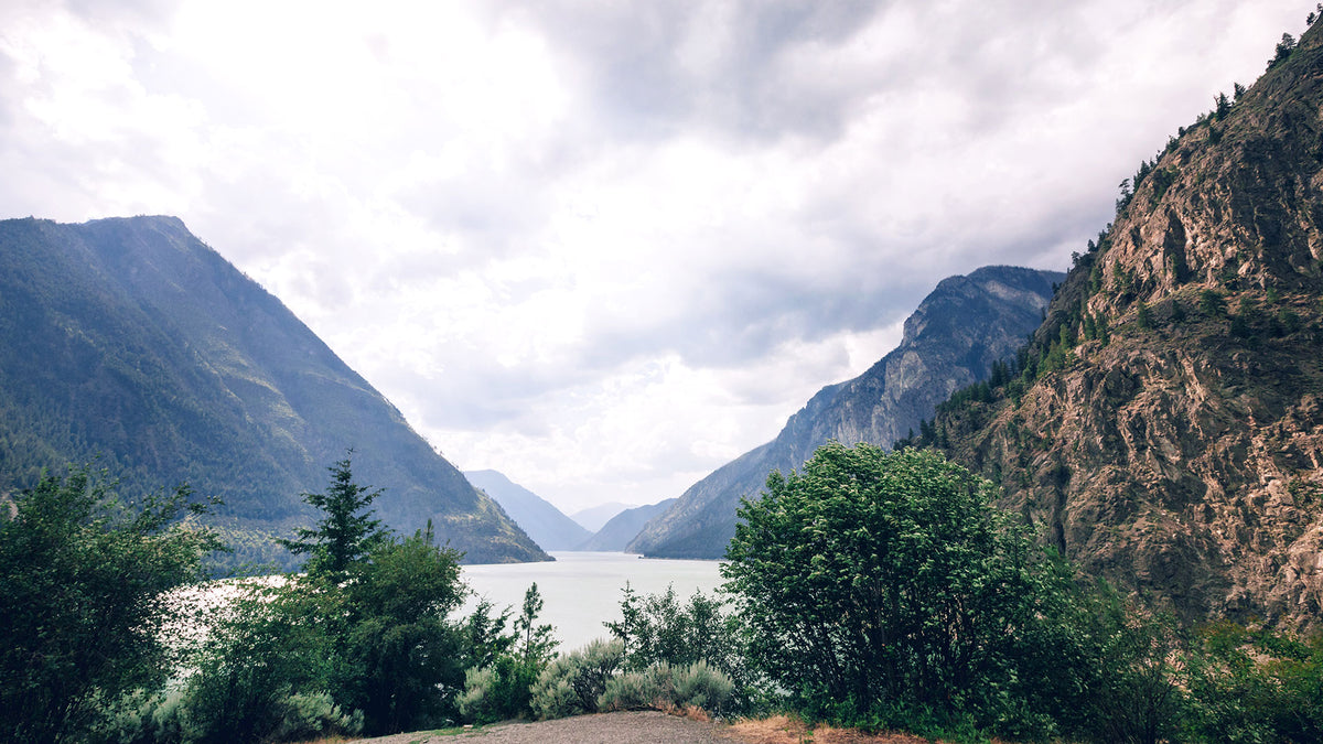 PSB Puts Its Canadian Roots First with New "True-to-Nature" Campaign