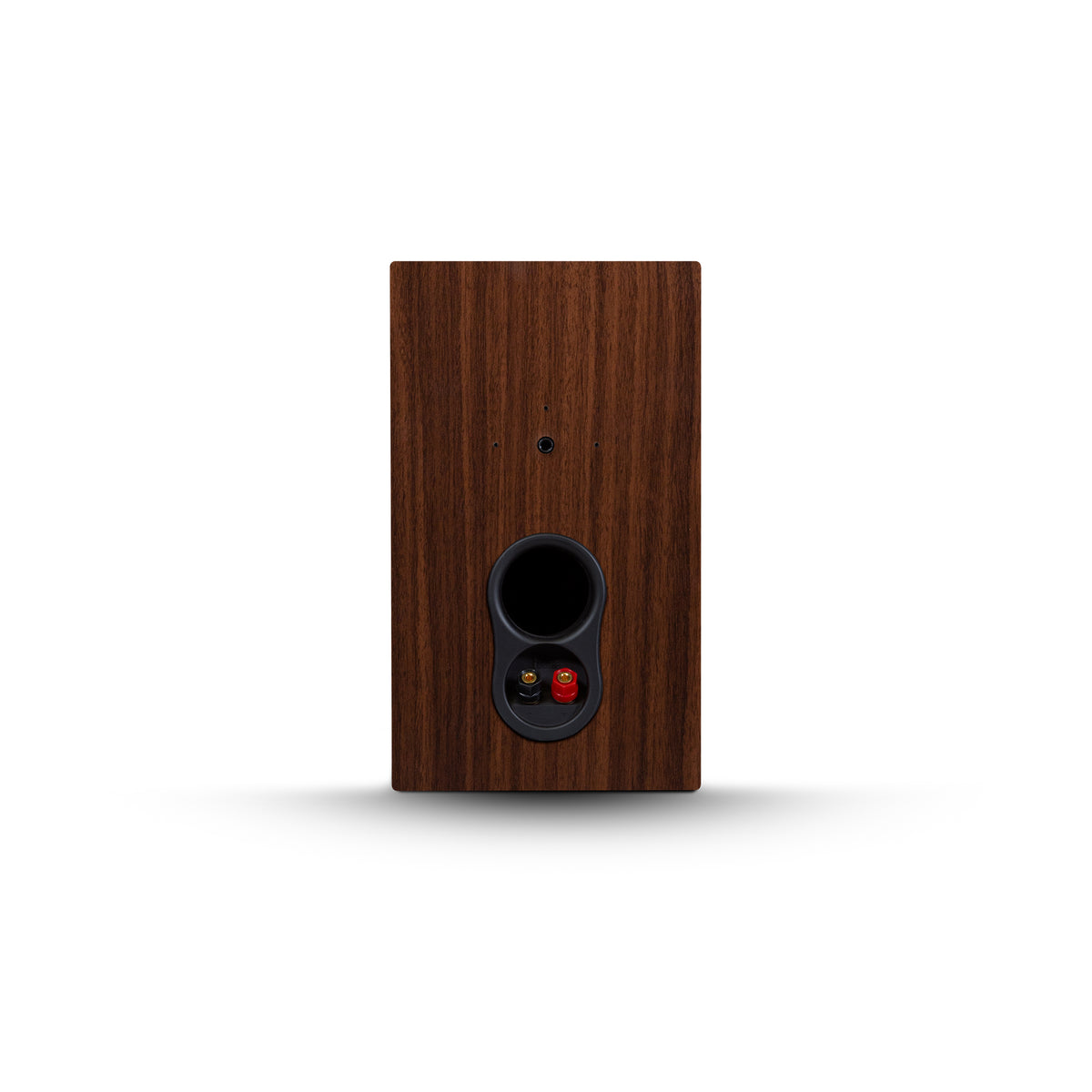 Alpha P5 - Bookshelf
