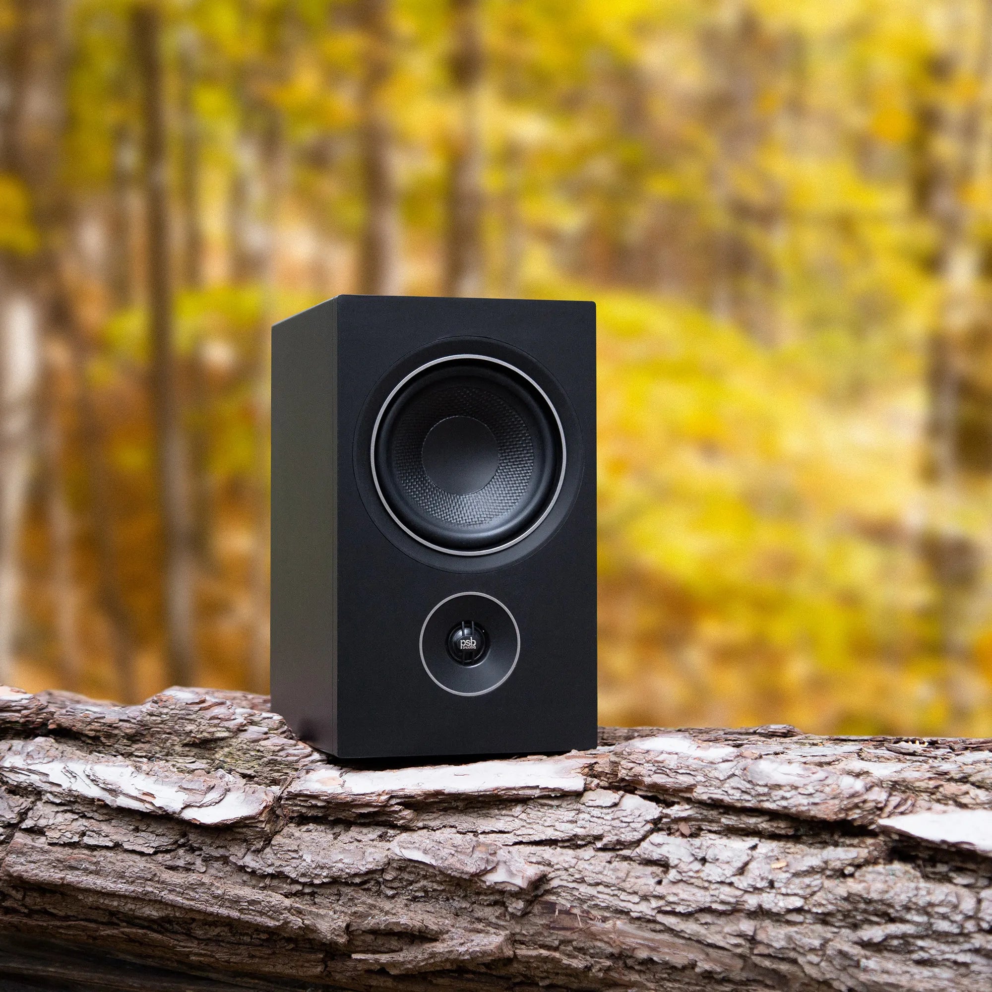 Detailed sound with amazing accuracy