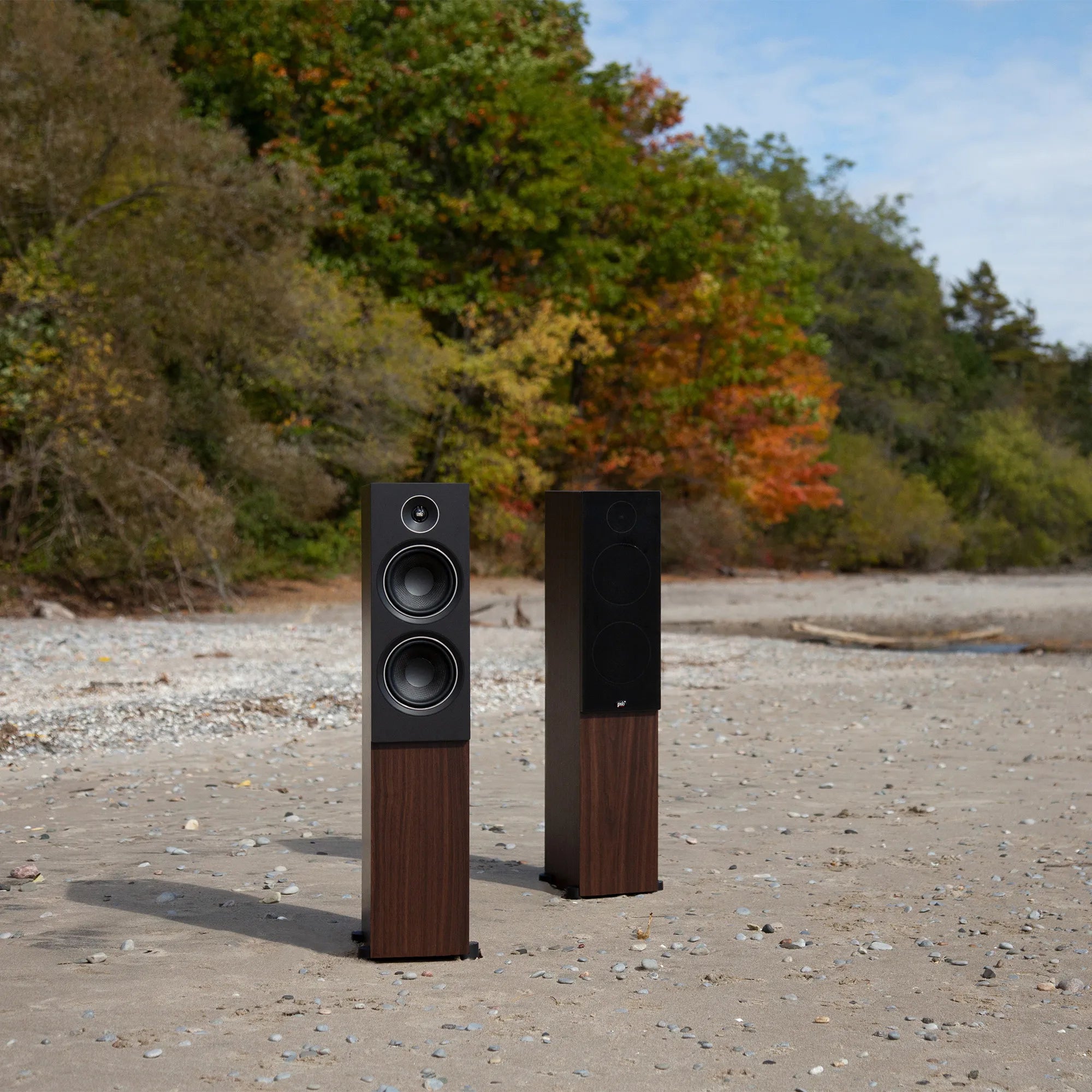 Lifelike acoustics