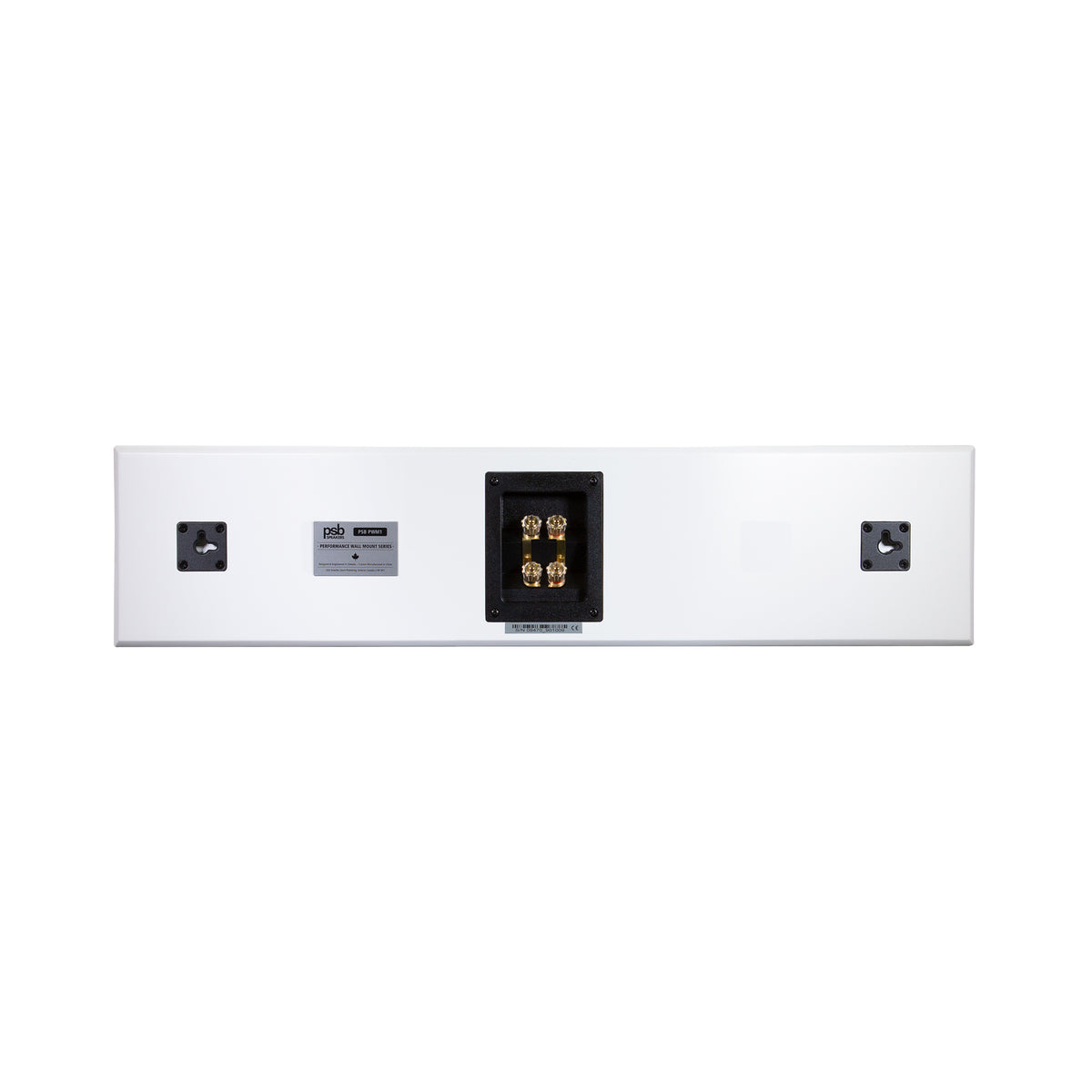 PWM1 - On-Wall Speaker