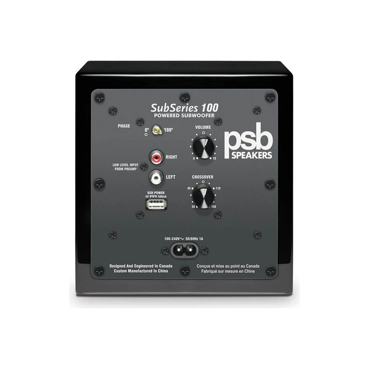 SubSeries 100  5.25 Mini Subwoofer