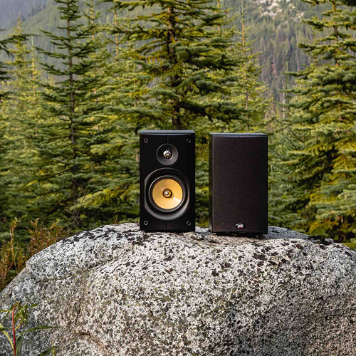 Bookshelf speaker - true to nature musical sound